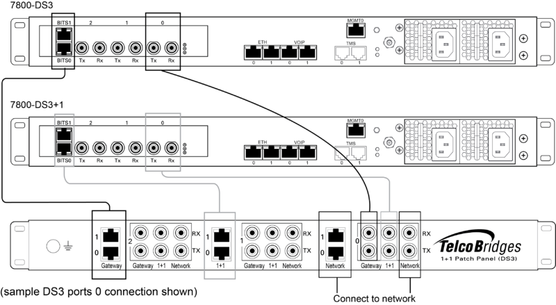 File:TDM1+1 DS3 des.png