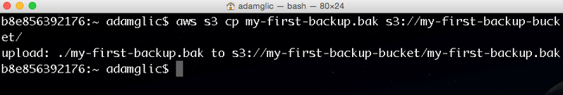 File:AWS CLI 3.png