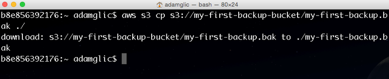 File:AWS CLI 4.png